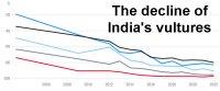 The decline of India's vultures